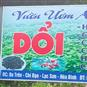 Vườn ươm anh Đẩu – Địa chỉ  cung cấp cây Dổi uy tín